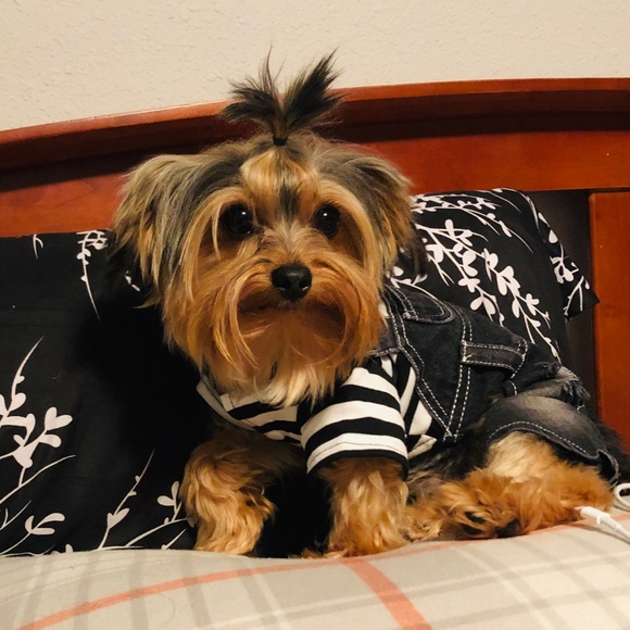 Welcome - Picture 8 of 8